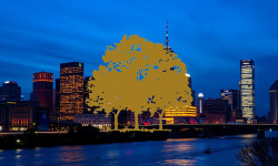 Beitragsbild zu Canopy Growth Aktie: Schlüsselindikatoren aufgedeckt