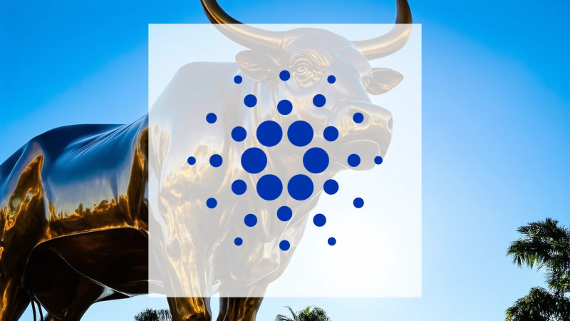 Beitragsbild zu Cardano: Jetzt wird es ernst!