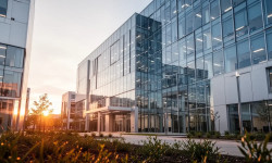 Beitragsbild zu ServiceNow Aktie: Trotz Rekordergebnis