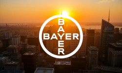 Beitragsbild zu Bayer Aktie: 611 Millionen Dollar Schock!