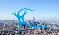 Beitragsbild zu Newron SpA Aktie: Interimsszenarien vorgestellt