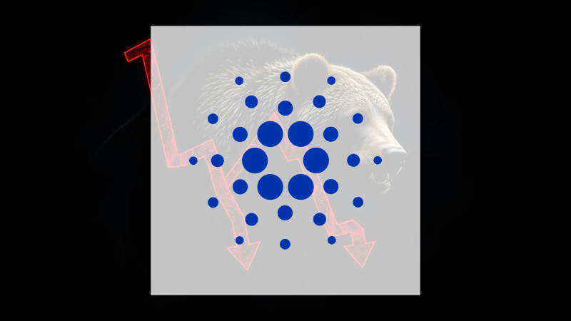 Beitragsbild zu Cardano: Kauf-Signal und Treasury-Entscheidung
