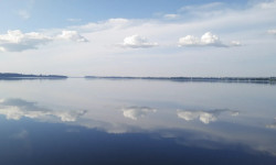 Beitragsbild zu American Eagle Gold Aktie: Finanzierung gesichert