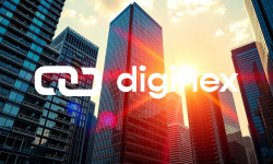 Beitragsbild zu Diginex Aktie: Umsatzsprung mit Makel