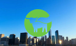 Beitragsbild zu Beyond Meat Aktie: Zunehmende Unsicherheit?