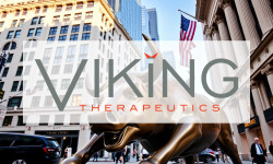 Beitragsbild zu Viking Therapeutics Aktie: Absturz nach Analystenschock