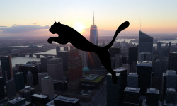 Beitragsbild zu Puma Aktie: Bilanz im Fokus