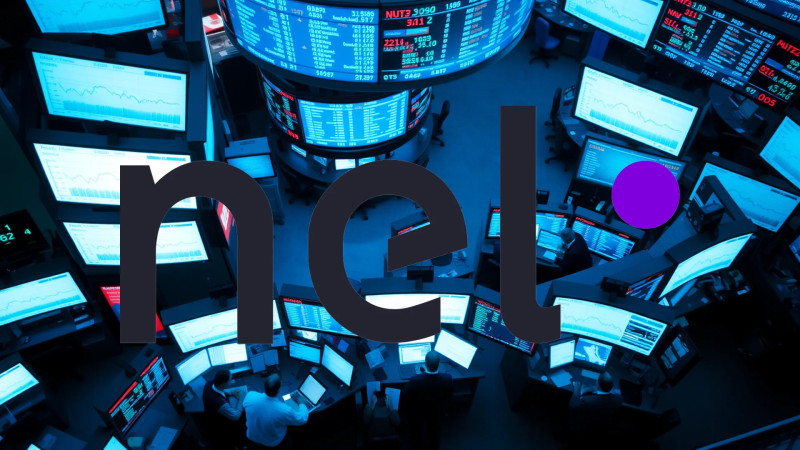 Beitragsbild zu Nel Asa-Aktie: Ganz brutal!