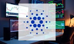 Beitragsbild zu Cardano: Mittelfristige Budgetplanung
