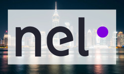 Beitragsbild zu Nel Asa-Aktie: Unfassbar!