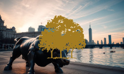 Beitragsbild zu Canopy Growth Aktie: Stabilisierung