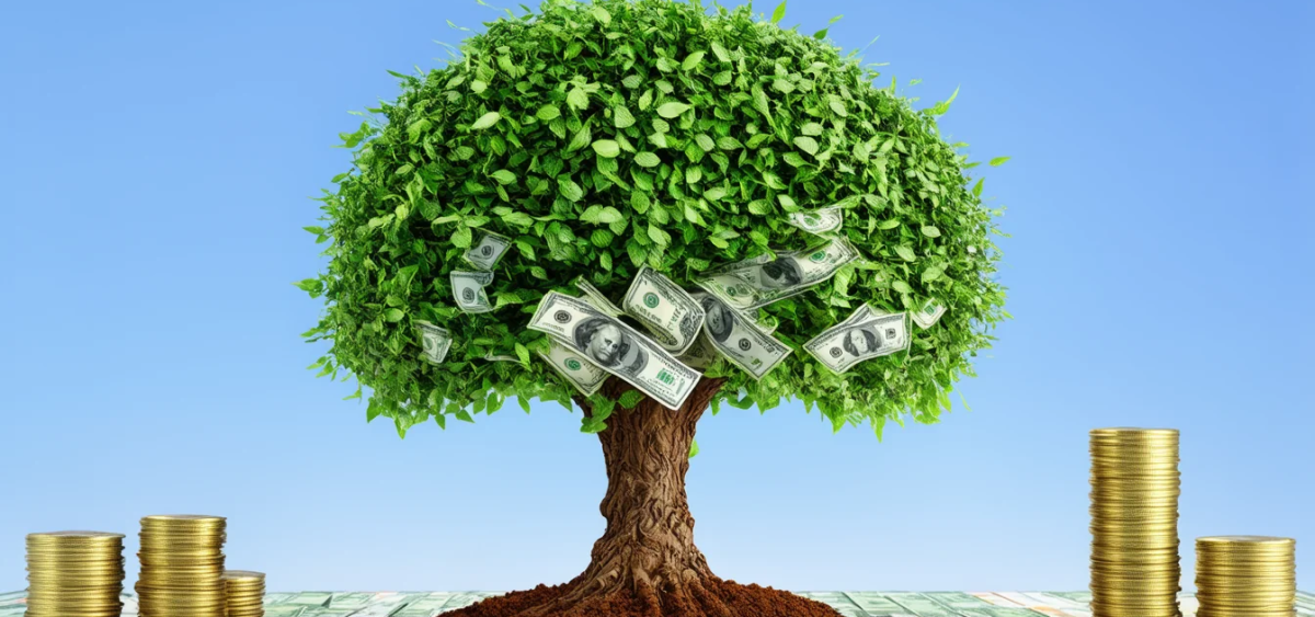 Beitragsbild zu EcoGraf Aktie: Aufbruchsstimmung!