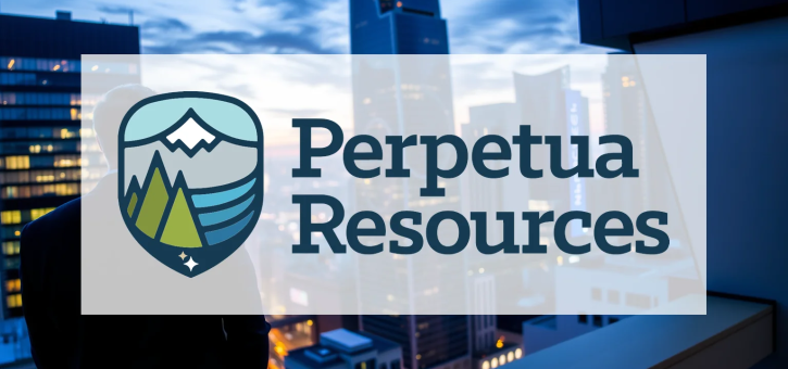 Beitragsbild zu Perpetua Resources Aktie: Entwicklungen vergleichbar?