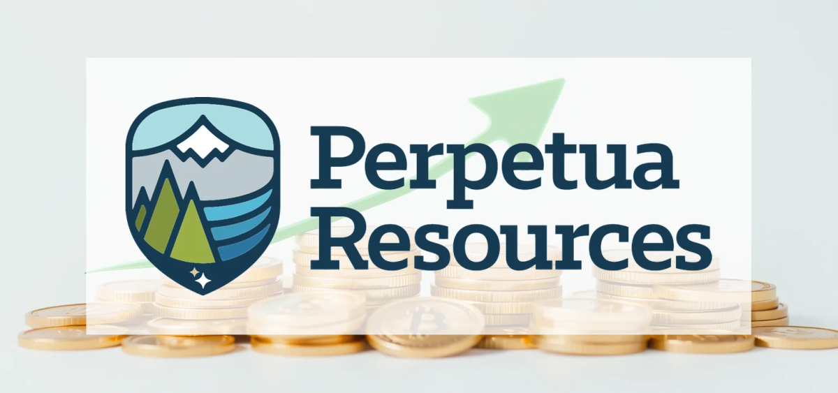 Beitragsbild zu Perpetua Resources Aktie: Drohende Sackgasse?