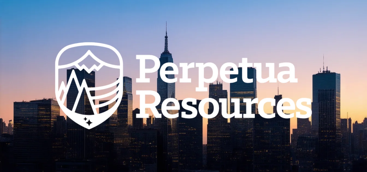 Beitragsbild zu Perpetua Resources: Goldprojekt vor entscheidender Phase?