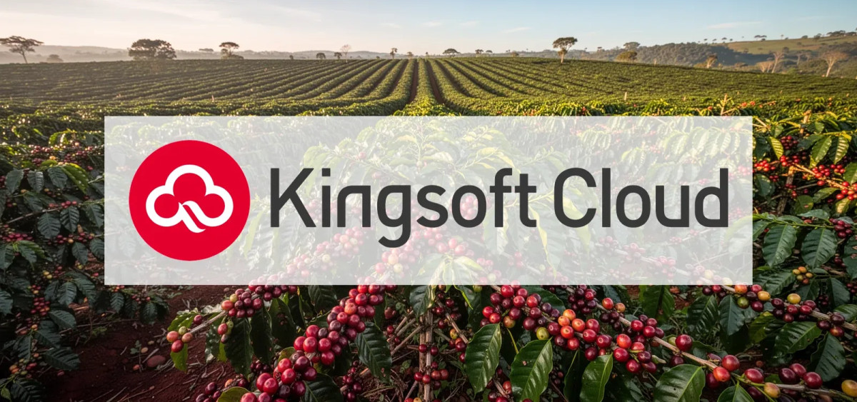 Beitragsbild zu Kaffeepreis: Faktenlage disclosed