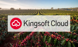 Beitragsbild zu Kaffeepreis: Faktenlage disclosed