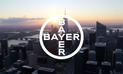 Beitragsbild zu Bayer Aktie: Strohfeuer oder Trendwende?