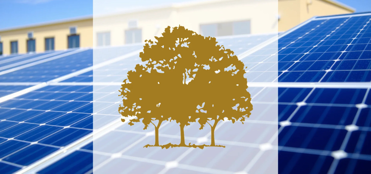 Beitragsbild zu Canopy Growth Aktie: Überraschende Wende?