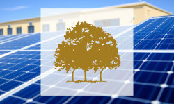 Beitragsbild zu Canopy Growth Aktie: Überraschende Wende?