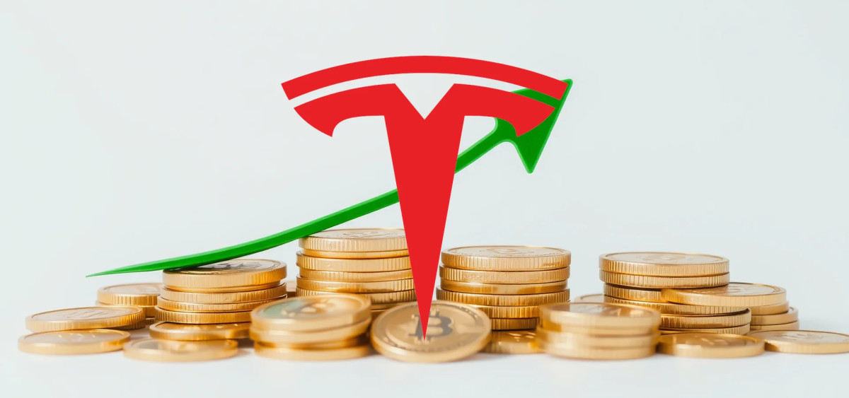 Beitragsbild zu Tesla Aktie: Geteiltes Bild