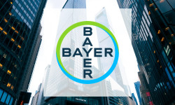 Beitragsbild zu Bayer Aktie: Ägypten-Coup gelandet!