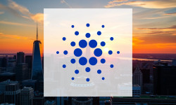 Beitragsbild zu Cardano Wal-Alarm!