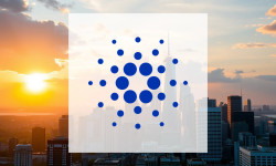 Beitragsbild zu Cardano: Institutionen rücken an