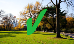 Beitragsbild zu Verbio Aktie: Spektakuläre Wende