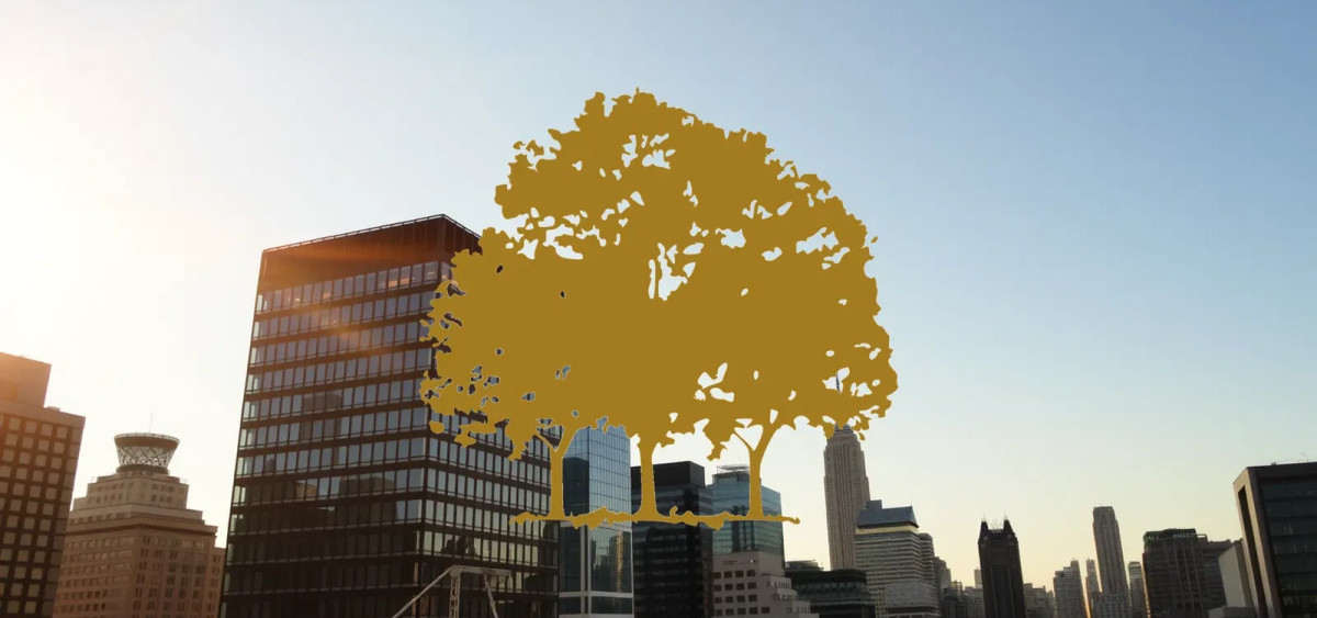 Beitragsbild zu Canopy Growth Aktie: Zahlen rücken näher