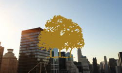 Beitragsbild zu Canopy Growth Aktie: Zahlen rücken näher