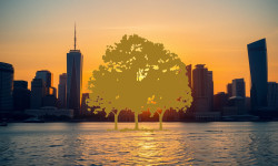 Beitragsbild zu Canopy Growth Aktie: Übernahme im Fokus