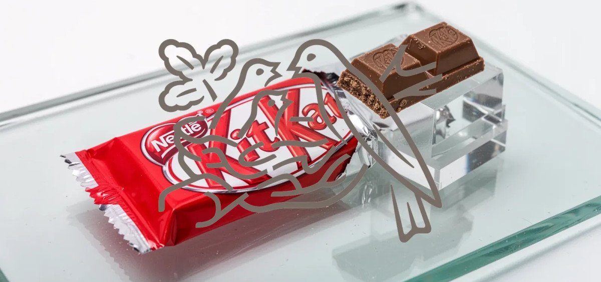 Beitragsbild zu Nestlé Aktie: Zahlenfokus