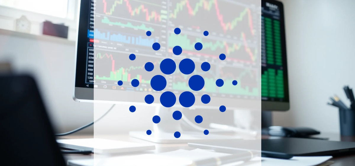 Beitragsbild zu Cardano: Entscheidungsphase