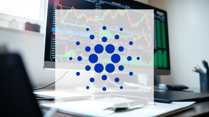 Beitragsbild zu Cardano: Entscheidungsphase