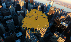 Beitragsbild zu Canopy Growth Aktie: Analysten geben Entwarnung