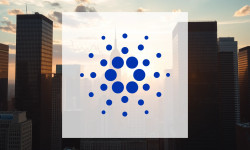 Beitragsbild zu Cardano: Institutionen greifen zu