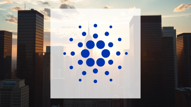 Beitragsbild zu Cardano: Institutionen greifen zu