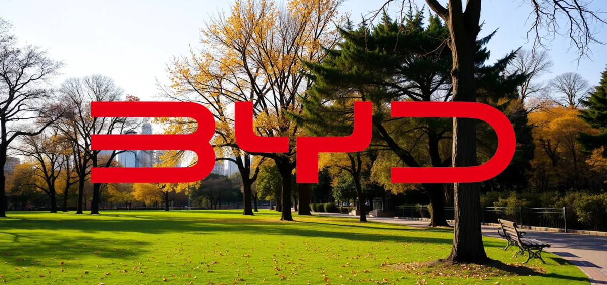 Beitragsbild zu BYD-Aktie: Wahnsinn!