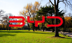 Beitragsbild zu BYD-Aktie: Wahnsinn!