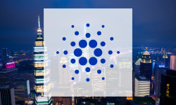 Beitragsbild zu Cardano: Volumen explodiert zum Jahresstart
