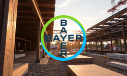 Beitragsbild zu Bayer Aktie: Juristischer Durchbruch