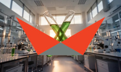 Beitragsbild zu Viking Therapeutics Aktie: Zweistelliger Sprung