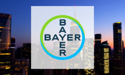 Beitragsbild zu Bayer-Aktie: Totaler Hammer!