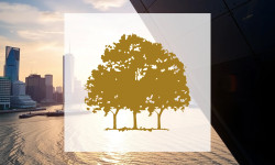 Beitragsbild zu Canopy Growth: Neuer Finanzchef setzt auf Disziplin