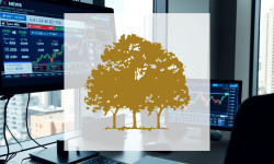 Beitragsbild zu Canopy Growth Aktie: Hoffnungsschimmer?