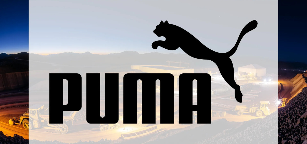 Beitragsbild zu Puma Aktie: Analysten-Schock!