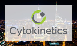 Beitragsbild zu Cytokinetics Aktie: Kampf um Zulassung!