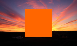 Beitragsbild zu Fiserv Aktie: Brutaler Absturz