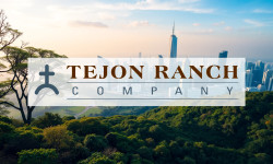 Beitragsbild zu Nexgold Mining Aktie: Aufschwung mit Hindernissen